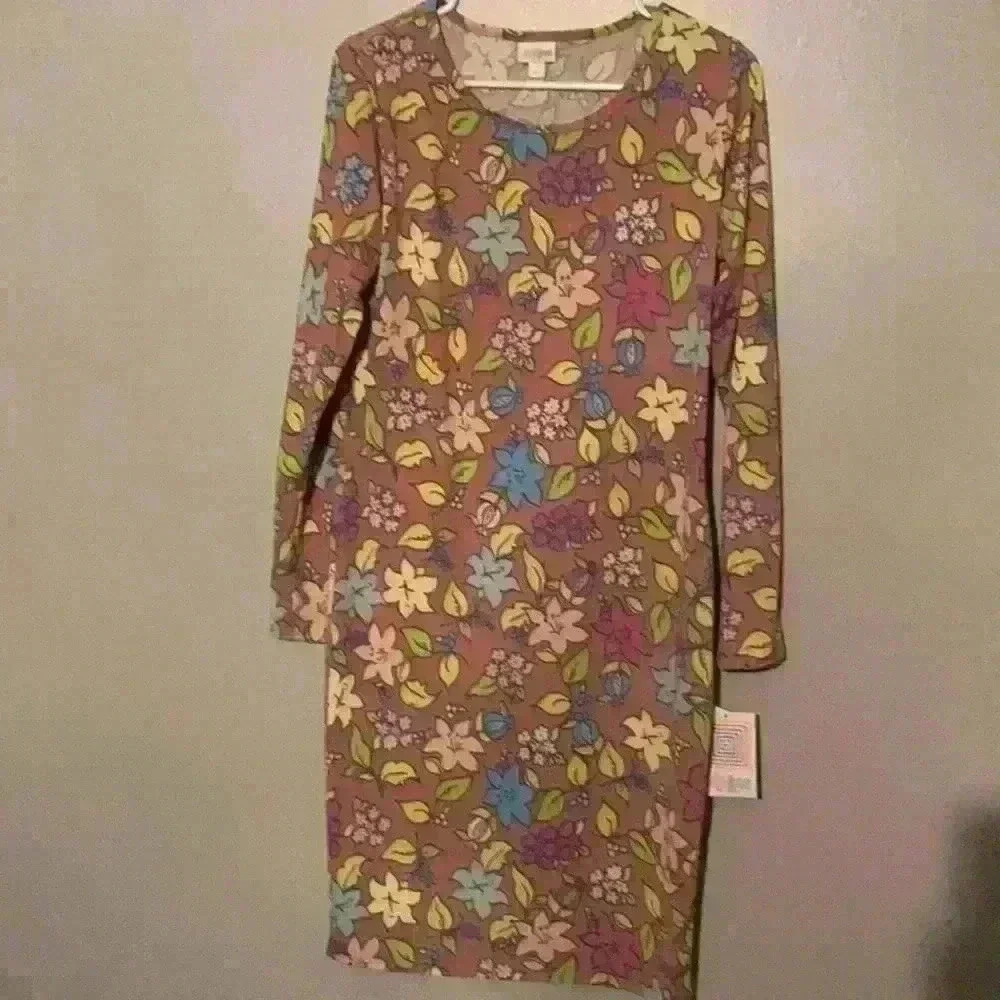LulaRoe Debbie dress